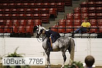 10buck_7785 proof