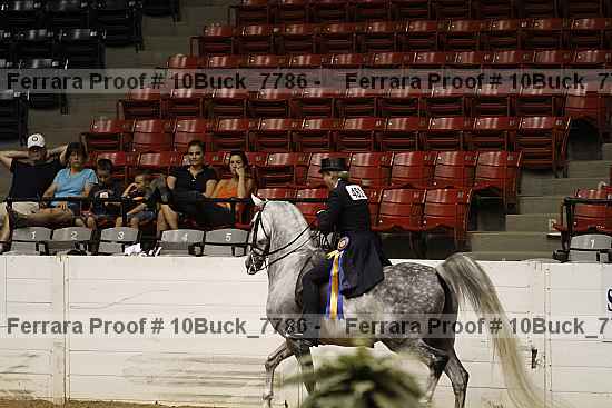 Proof 10buck_7786