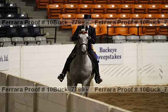 Proof 10buck_7789