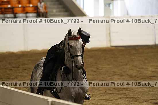 Proof 10buck_7792