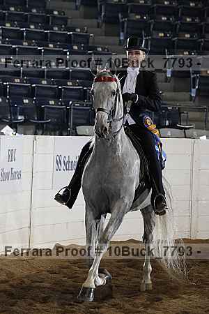Proof 10buck_7793
