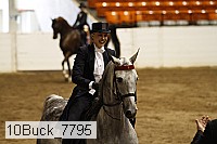10buck_7795 proof
