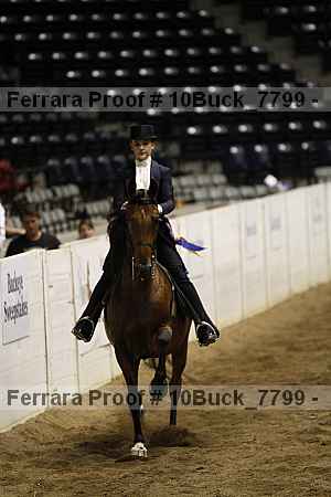 Proof 10buck_7799