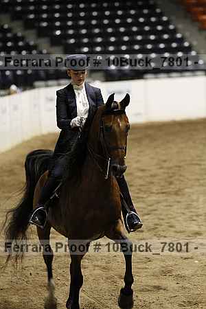 Proof 10buck_7801
