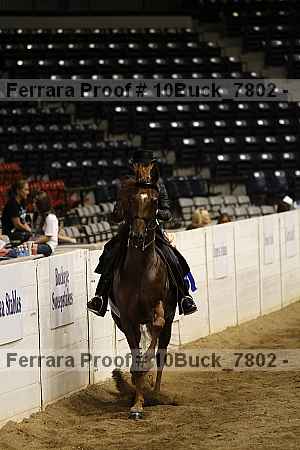 Proof 10buck_7802