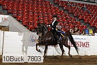 10buck_7803 proof