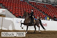 10buck_7805 proof