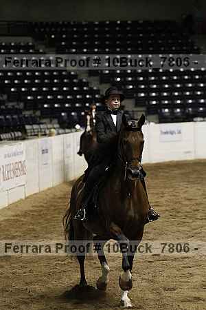 Proof 10buck_7806