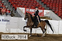 10buck_7814 proof