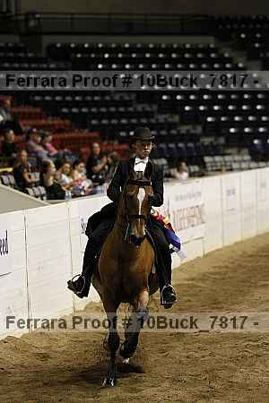 Proof 10buck_7817