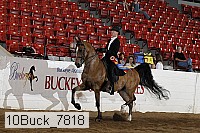 10buck_7818 proof