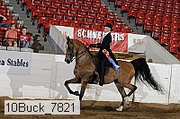 10buck_7821 proof