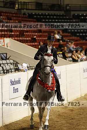 Proof 10buck_7825