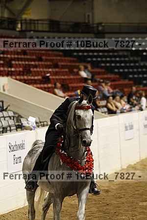 Proof 10buck_7827