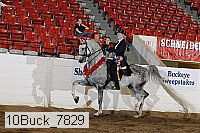 10buck_7829 proof