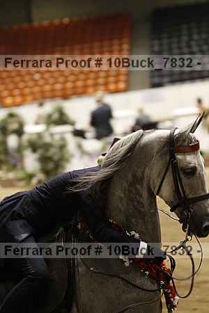 Proof 10buck_7832