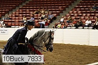 10buck_7833 proof