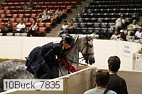 10buck_7835 proof