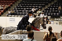 10buck_7836 proof