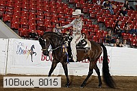10buck_8015 proof