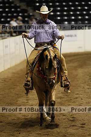 Proof 10buck_8043