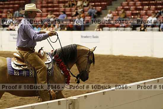 Proof 10buck_8046
