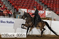 10buck_8051 proof