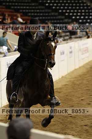 Proof 10buck_8053