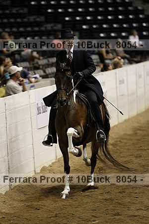 Proof 10buck_8054