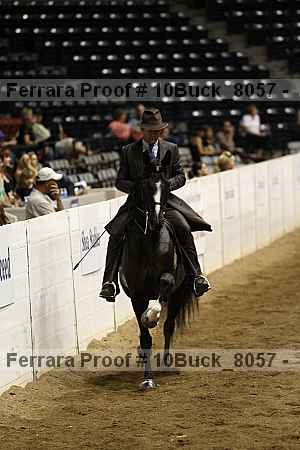 Proof 10buck_8057