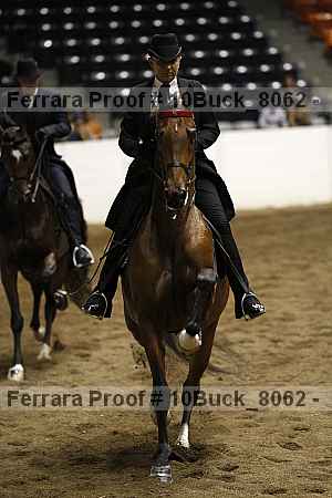 Proof 10buck_8062