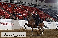 10buck_8063 proof