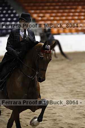 Proof 10buck_8064