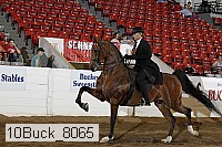 10buck_8065 proof