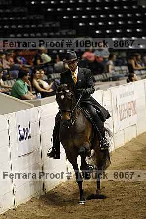 Proof 10buck_8067