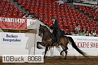 10buck_8068 proof