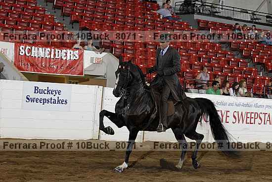 Proof 10buck_8071