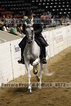 Proof 10buck_8072