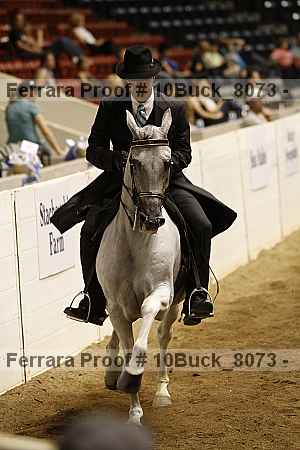 Proof 10buck_8073