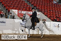 10buck_8074 proof