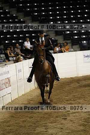 Proof 10buck_8075