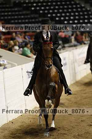 Proof 10buck_8076