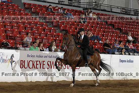 Proof 10buck_8077