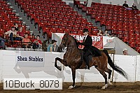 10buck_8078 proof