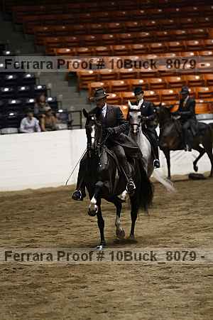 Proof 10buck_8079