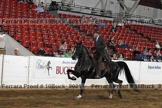 Proof 10buck_8081