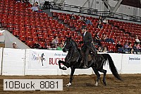 10buck_8081 proof