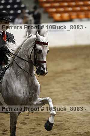 Proof 10buck_8083
