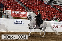 10buck_8084 proof