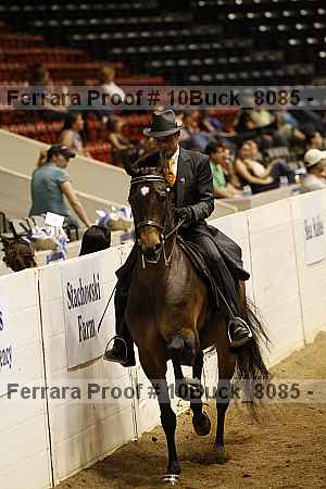 Proof 10buck_8085